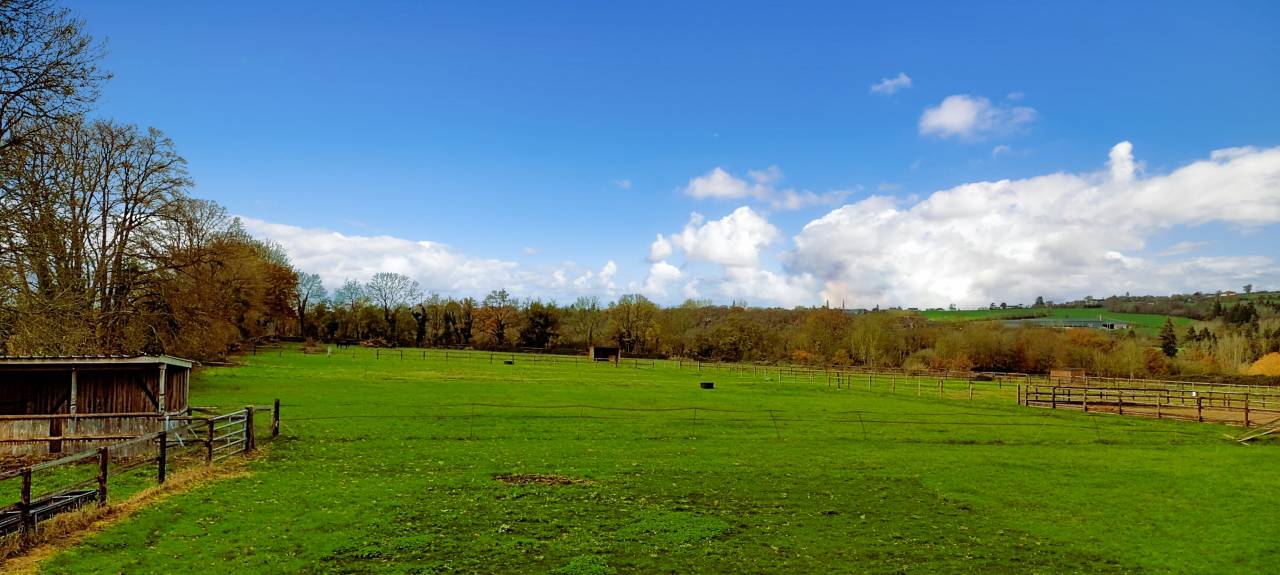 Mooi hippisch vastgoed Koop Orne