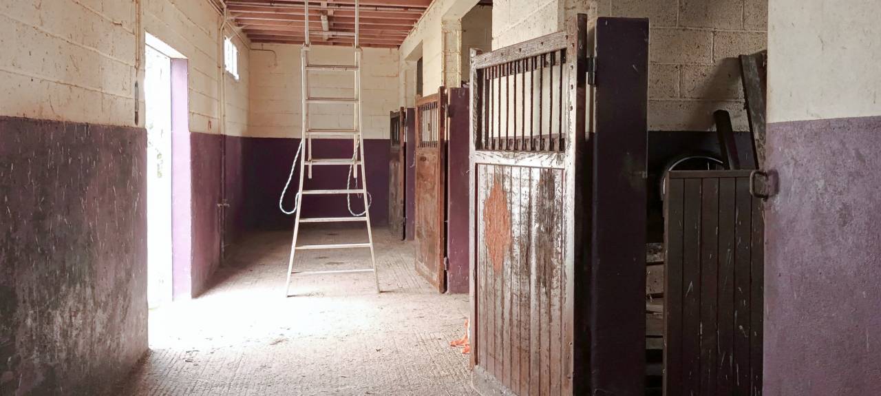 Mooi hippisch vastgoed Koop Orne