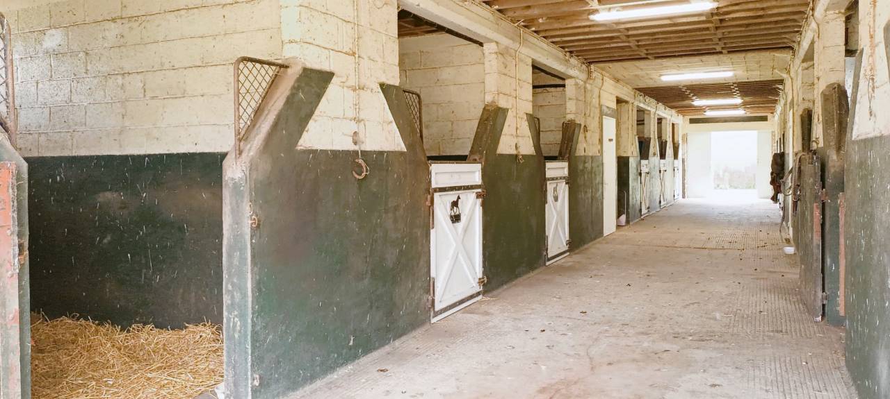 Mooi hippisch vastgoed Koop Orne