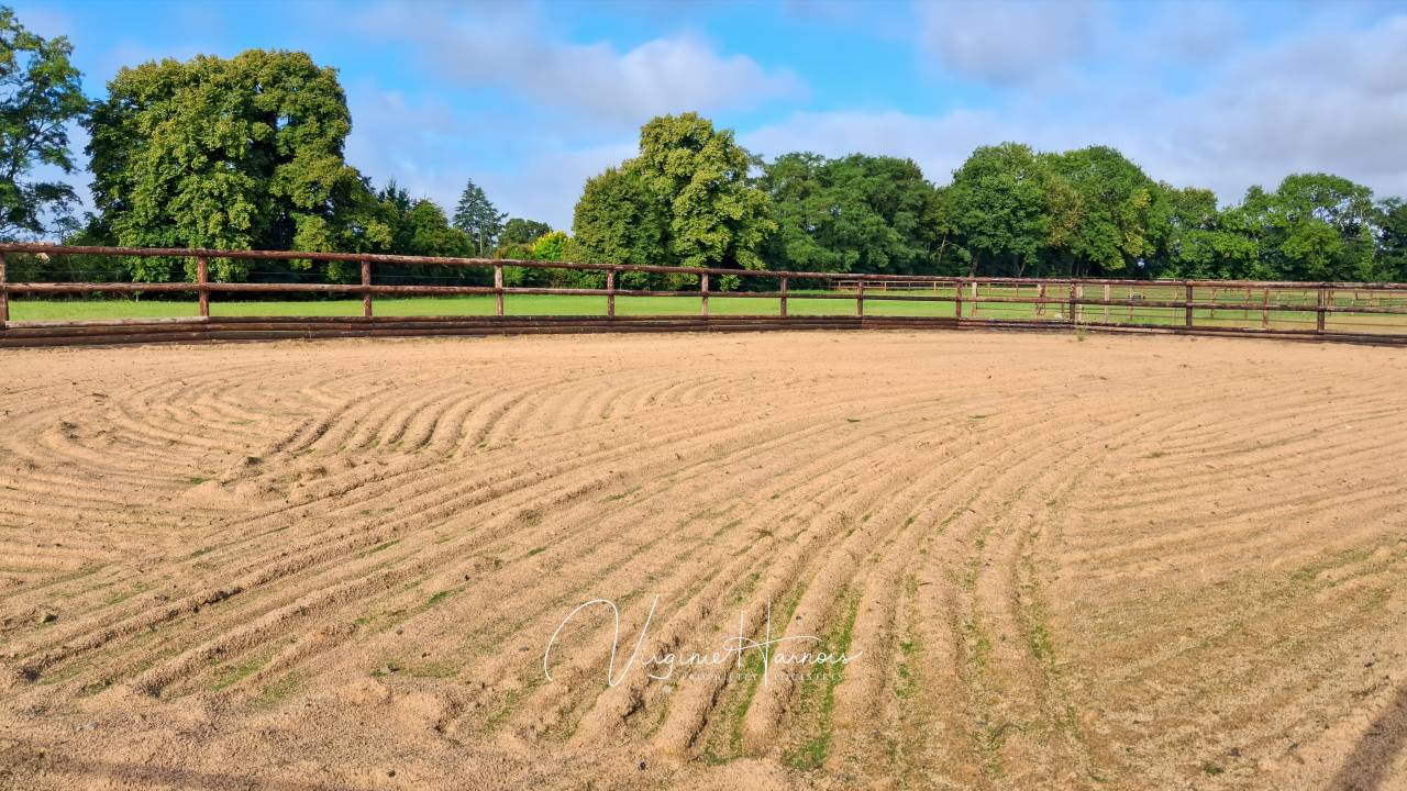 Mooi hippisch vastgoed Koop Orne