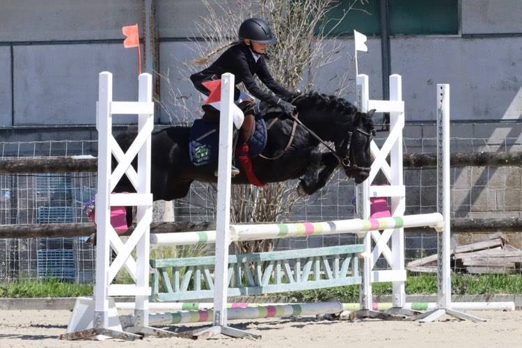 Green Bell Pepper d'Ash - Dartmoor 2016 ,  moortown storm