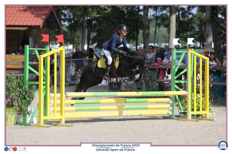 Green Bell Pepper d'Ash - Dartmoor 2016 ,  moortown storm