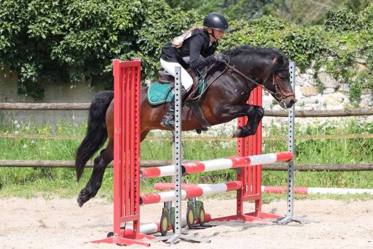 Trewassick Warleggan - Dartmoor 2017 ,  SHILSTONE ROCKS WARLORD