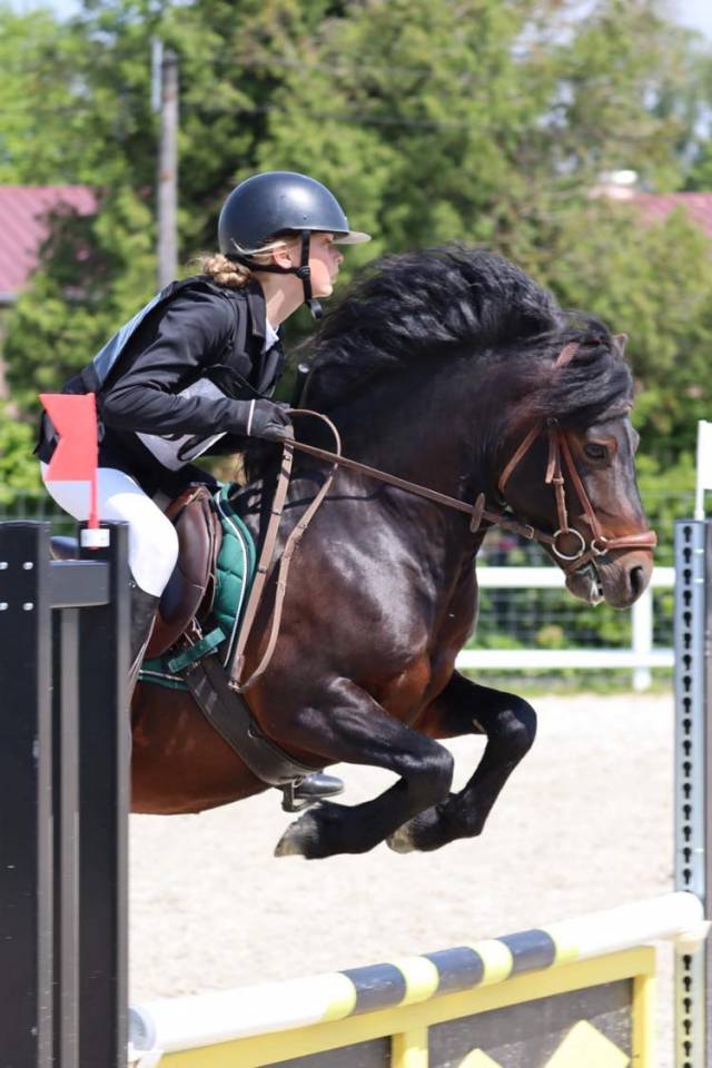 Trewassick Warleggan - Dartmoor 2017 ,  SHILSTONE ROCKS WARLORD