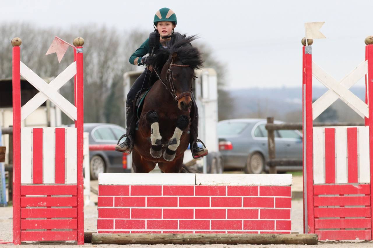 Trewassick Warleggan - Dartmoor 2017 ,  SHILSTONE ROCKS WARLORD