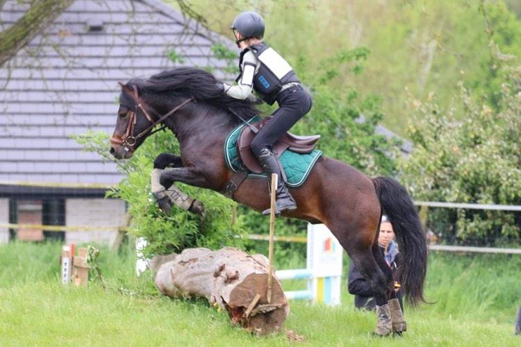 Trewassick Warleggan - Dartmoor 2017 ,  SHILSTONE ROCKS WARLORD