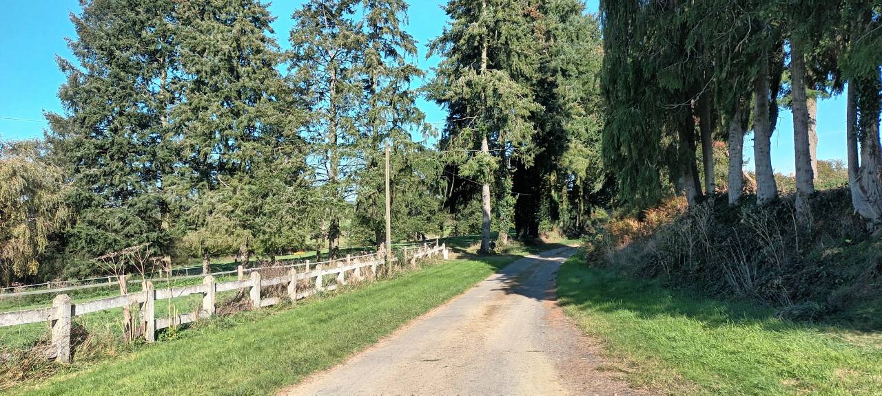 Hippisch vastgoed Koop Orne