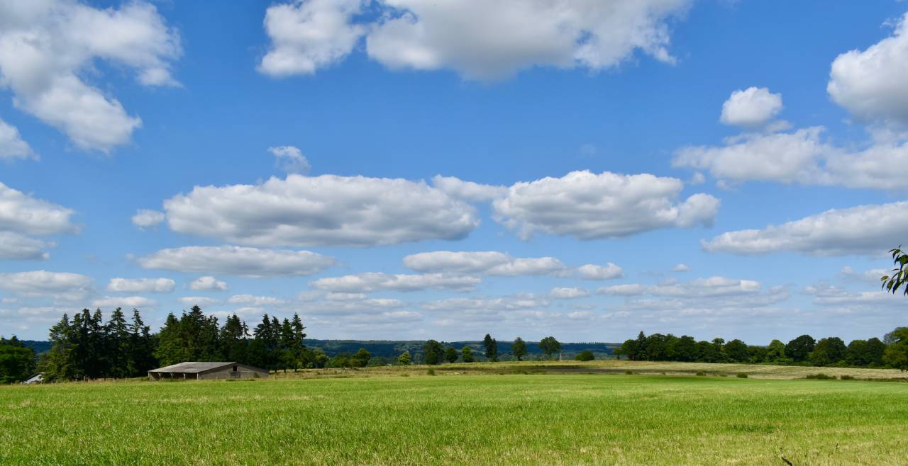 Hippisch vastgoed Koop Orne
