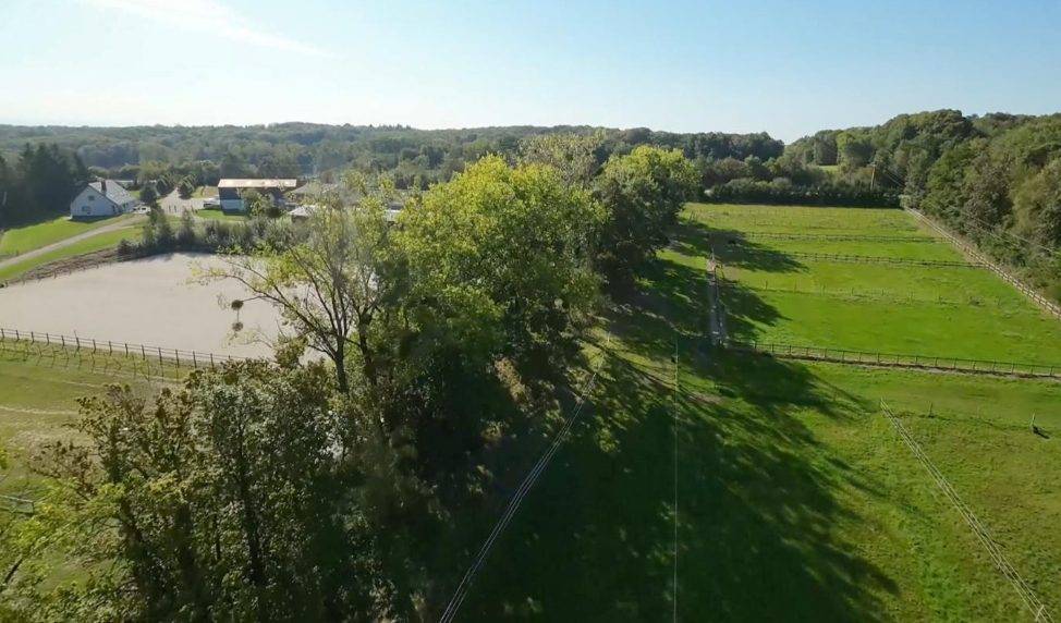 Eigenaren stal Koop Haut-Rhin