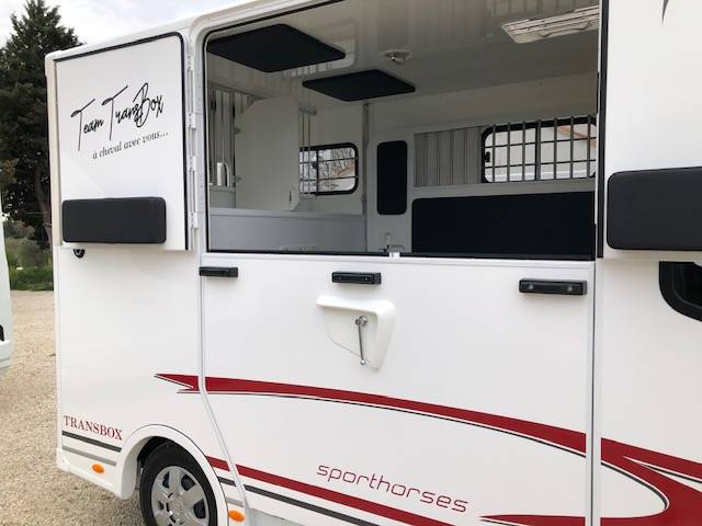 Kleine paardenvrachtwagen (B rijbewijs) Trans Box New Svelto4 R  2024 Nieuw