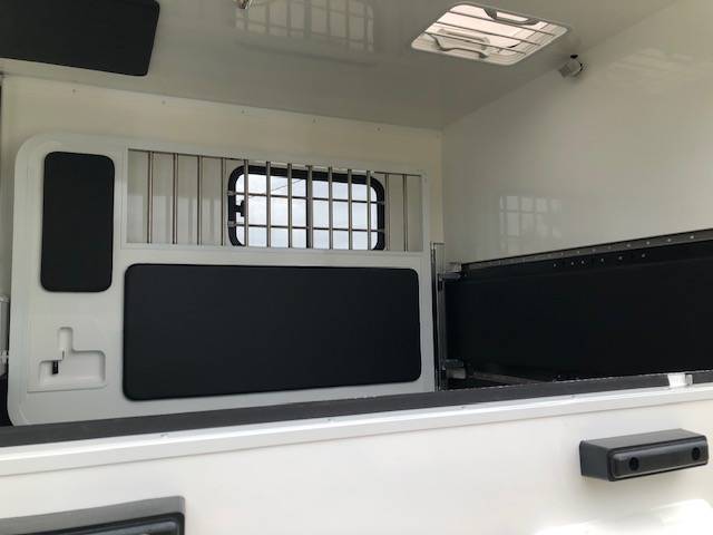 Kleine paardenvrachtwagen (B rijbewijs) Trans Box New Svelto4 R  2024 Nieuw