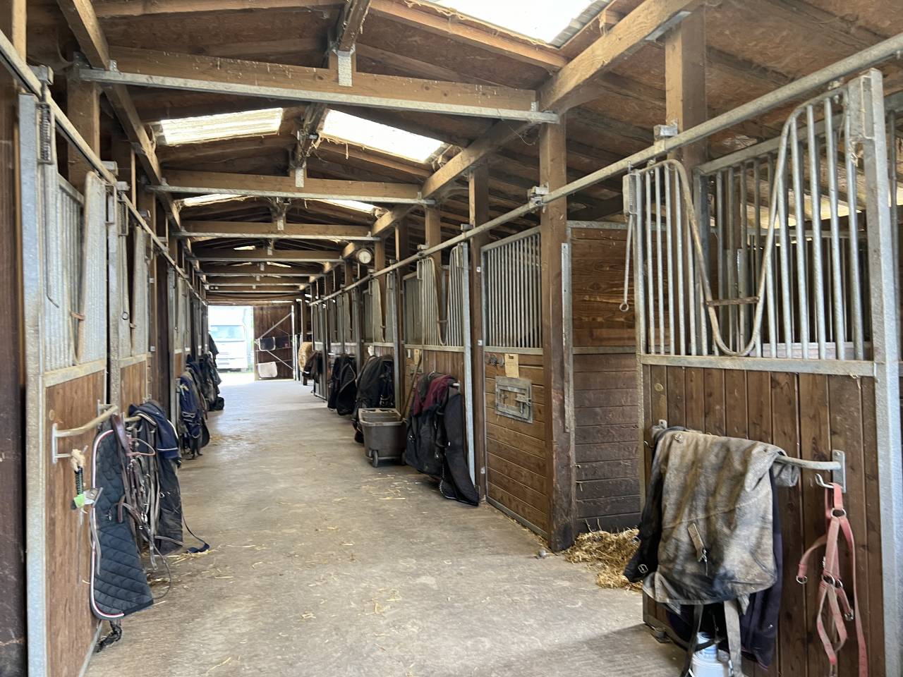 Eigenaren stal Koop Corr&egrave;ze