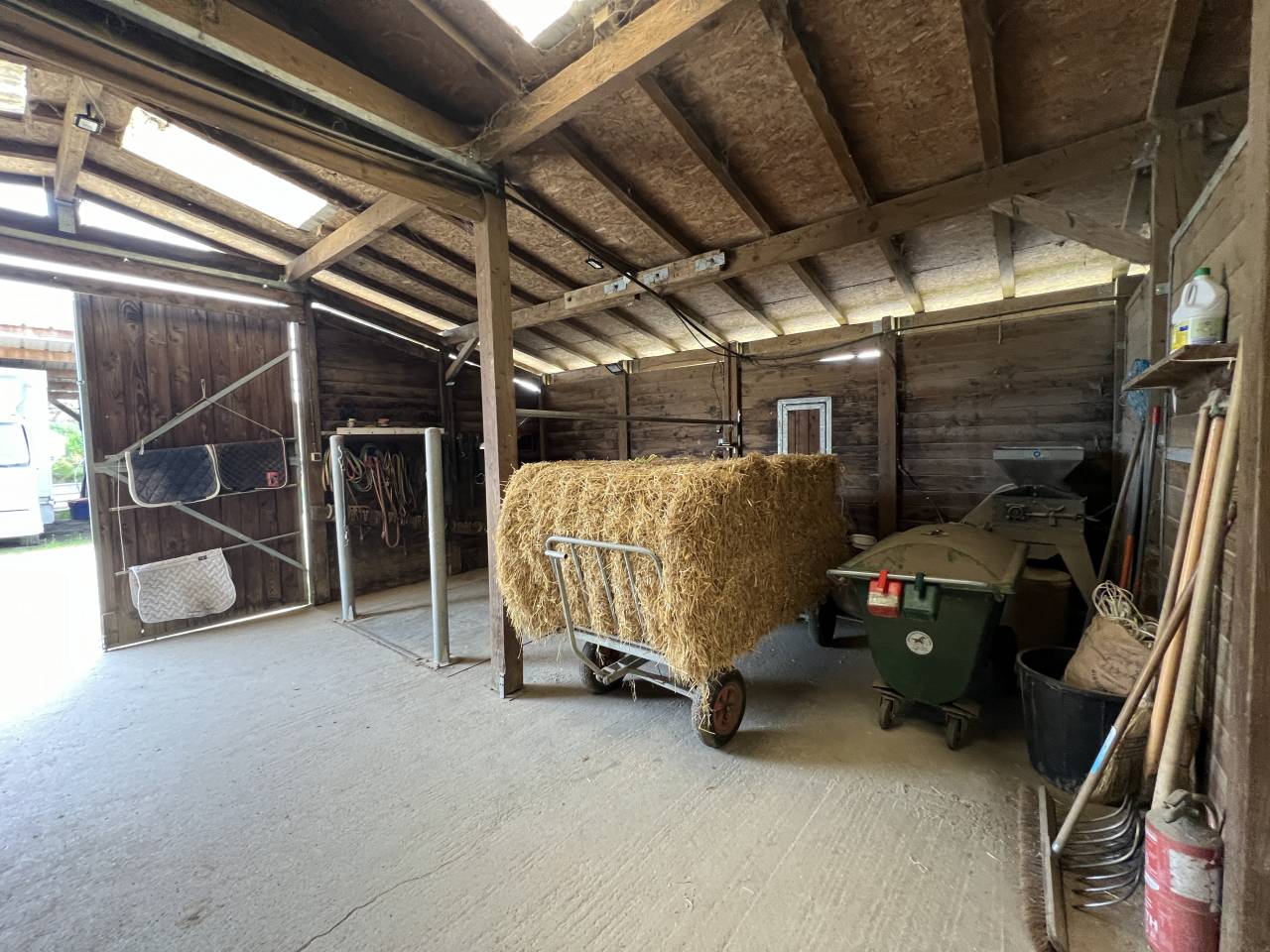 Eigenaren stal Koop Corr&egrave;ze