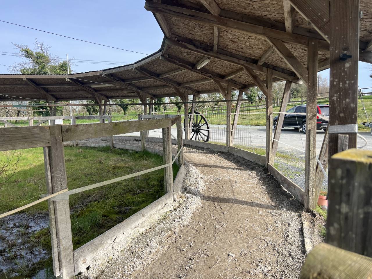 Eigenaren stal Koop Corr&egrave;ze