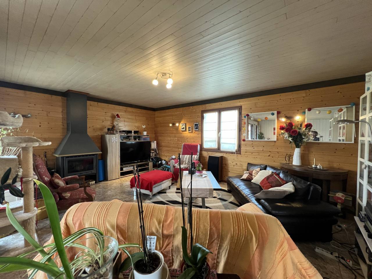 Eigenaren stal Koop Corr&egrave;ze