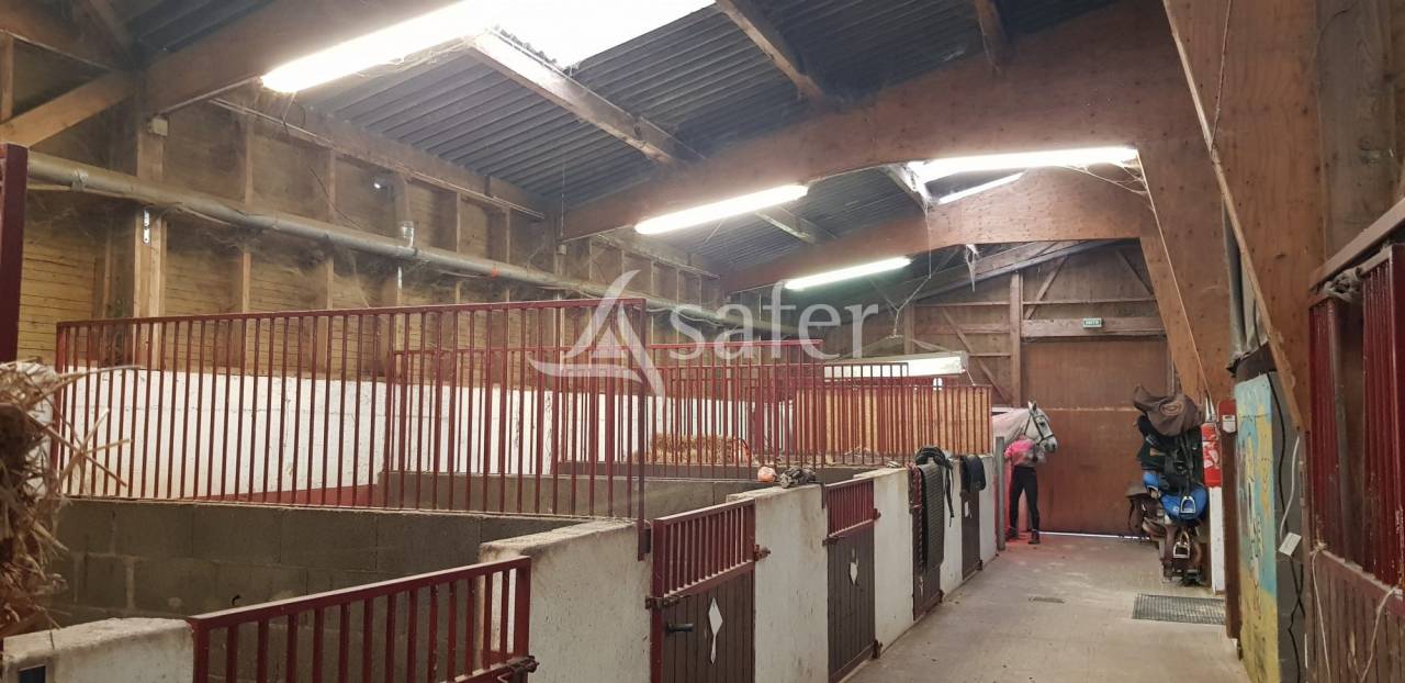 Hippisch vastgoed Koop Haute-Loire