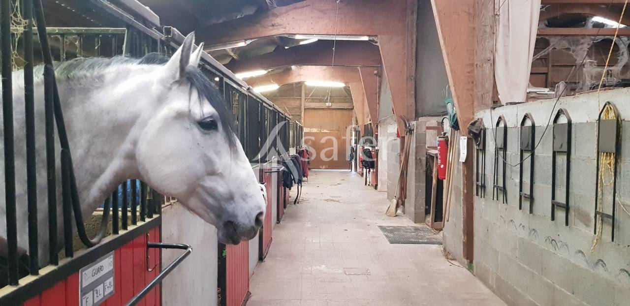 Hippisch vastgoed Koop Haute-Loire
