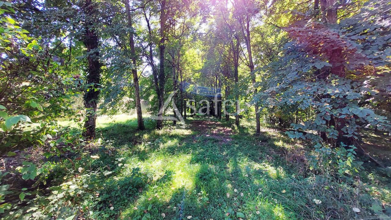 Hippisch vastgoed Koop Seine-et-Marne