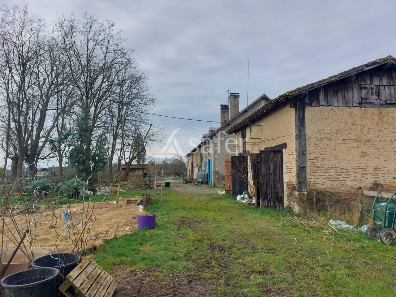 Schapen exploitatie Koop Dordogne