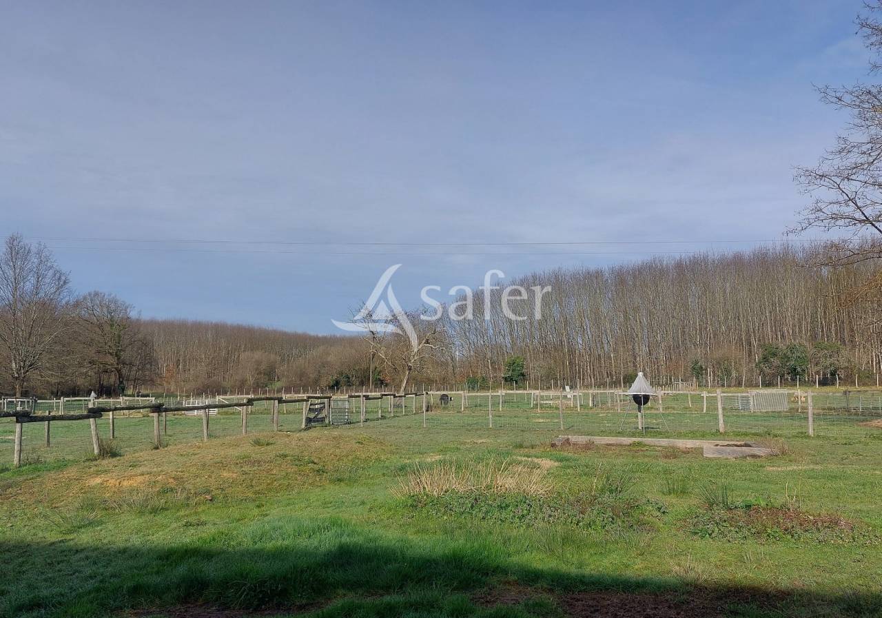 Schapen exploitatie Koop Dordogne