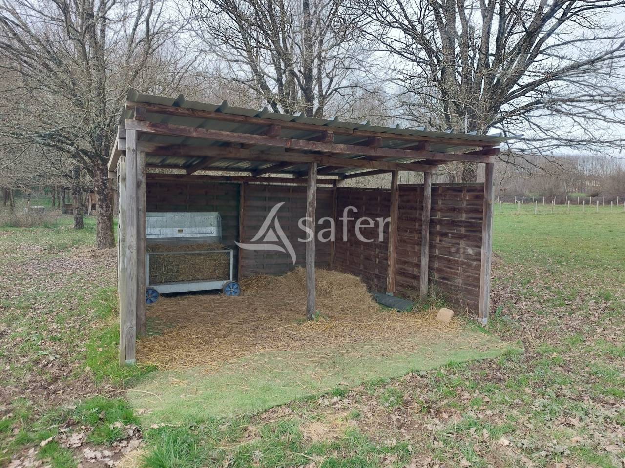 Schapen exploitatie Koop Dordogne