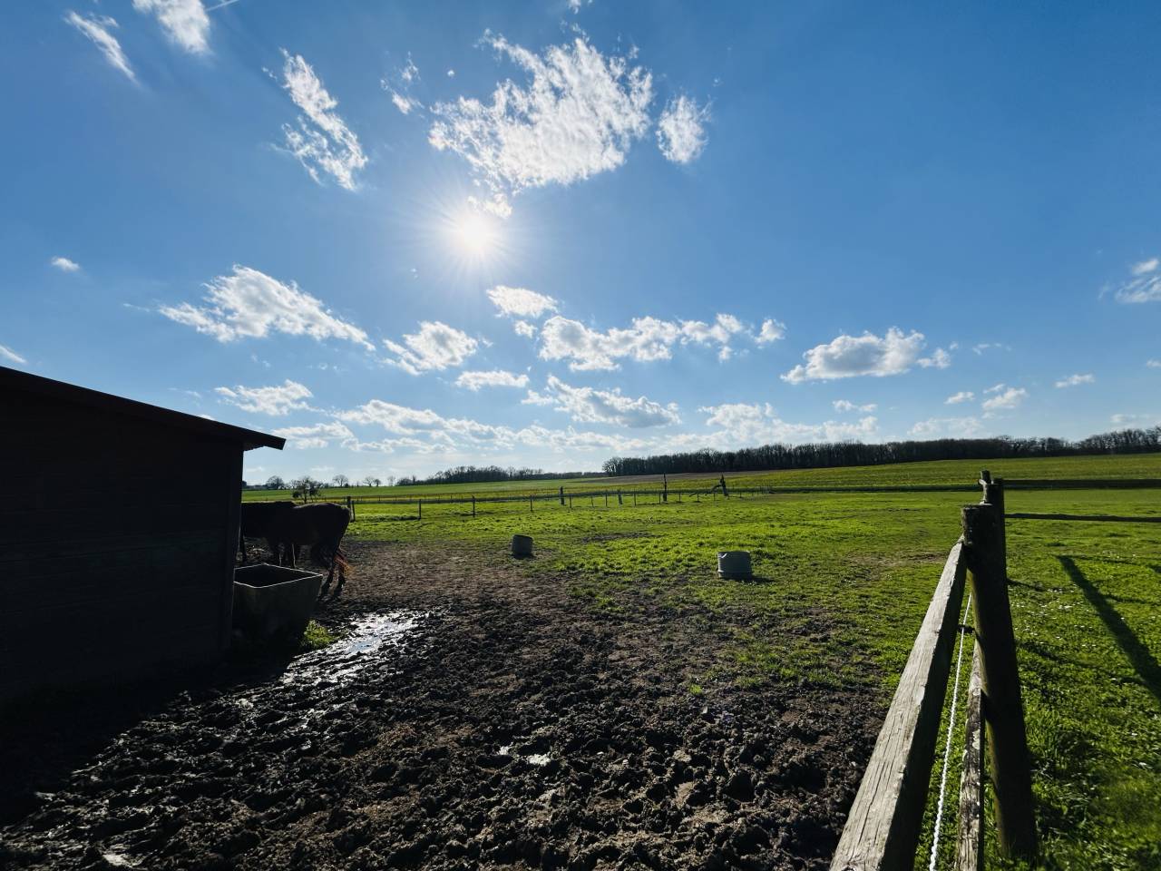 Ander plattelands vastgoed Koop Vienne