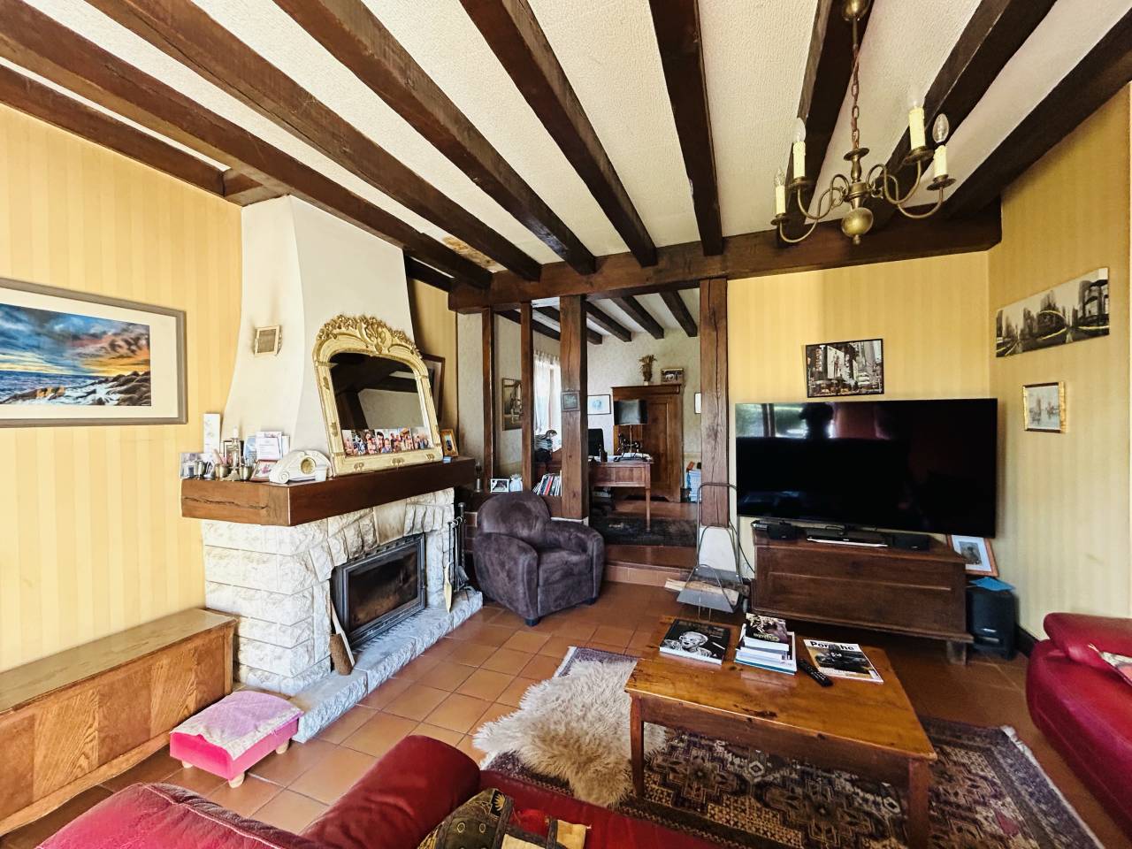 Ander plattelands vastgoed Koop Vienne