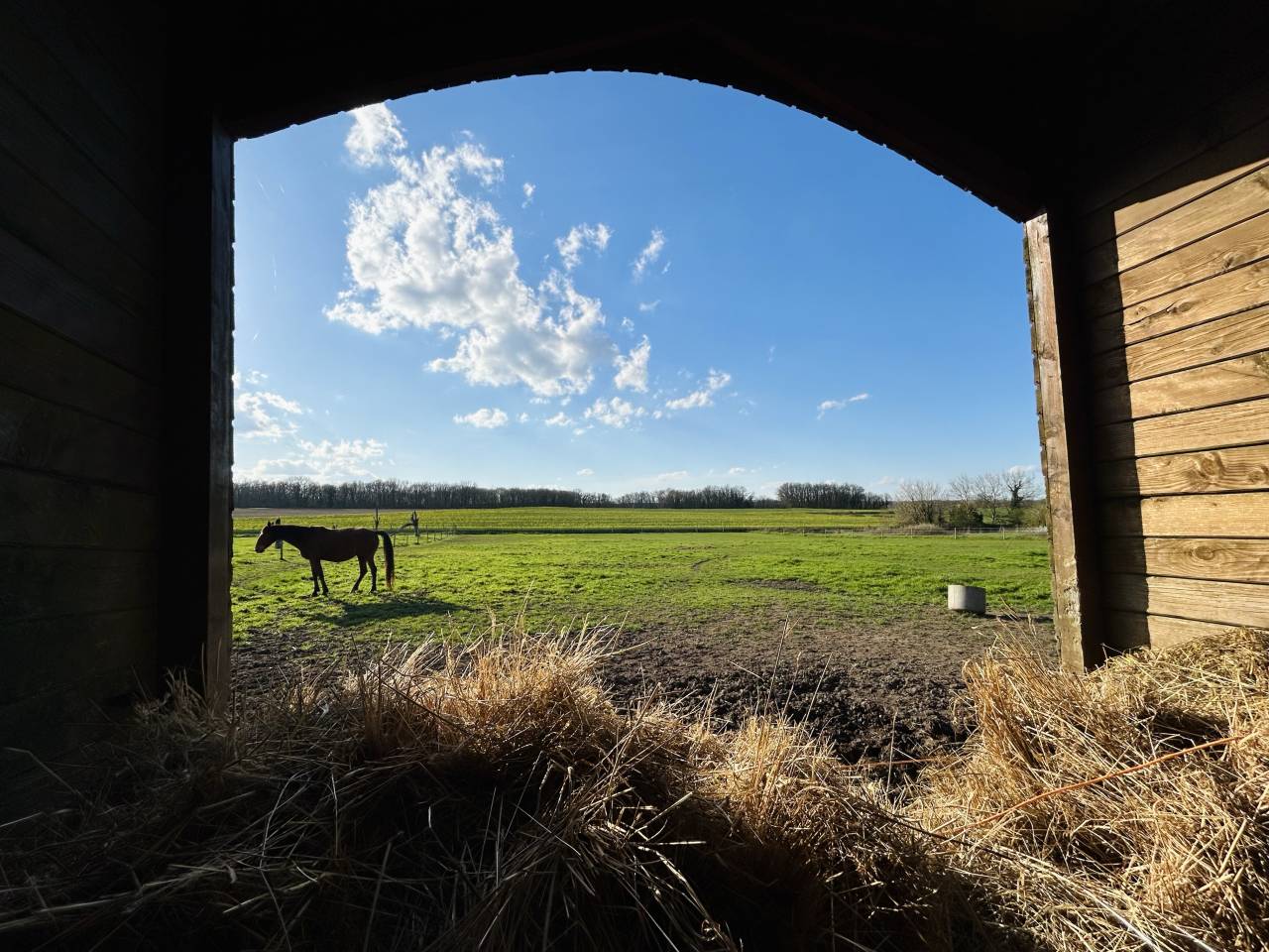 Ander plattelands vastgoed Koop Vienne