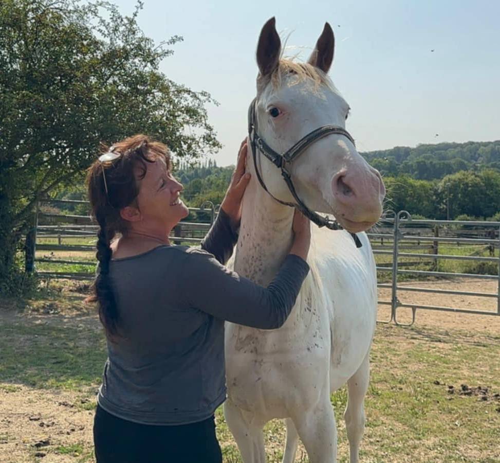 Veulen (ml) Anglo-Arabier Te koop 2023 Overige kleuren ,  PETRUS DE LAFON