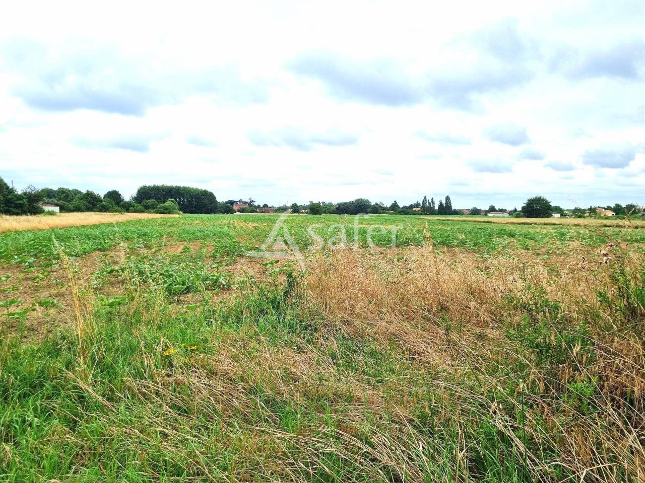 Ander plattelands vastgoed Koop Tarn-et-Garonne