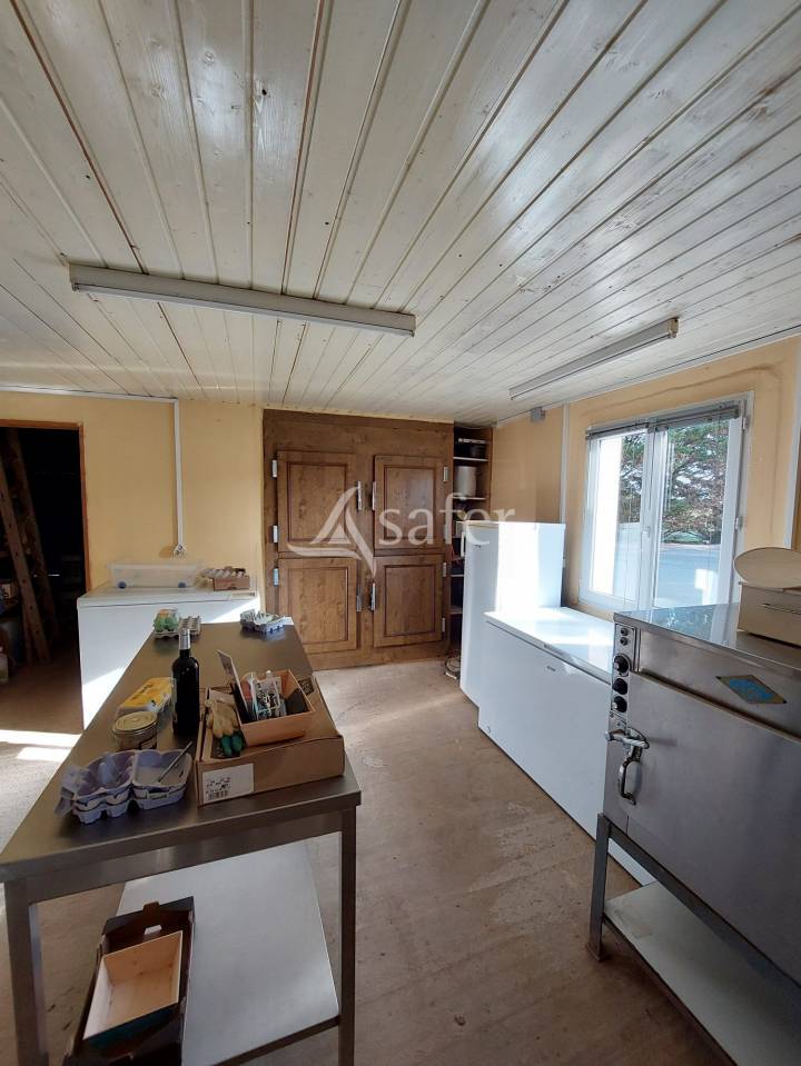 Groente exploitatie Koop Charente-Maritime