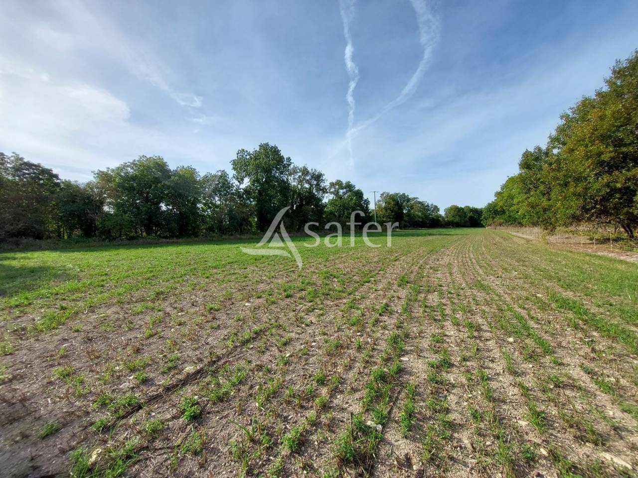 Groente exploitatie Koop Charente-Maritime