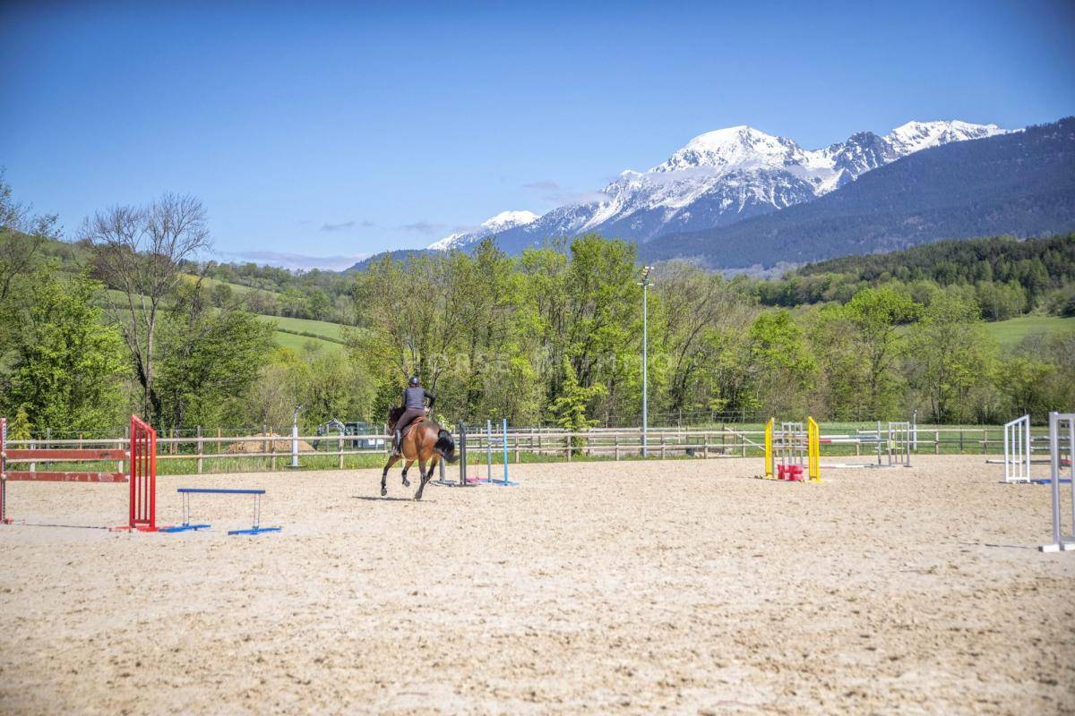 Stoeterij Koop Isère