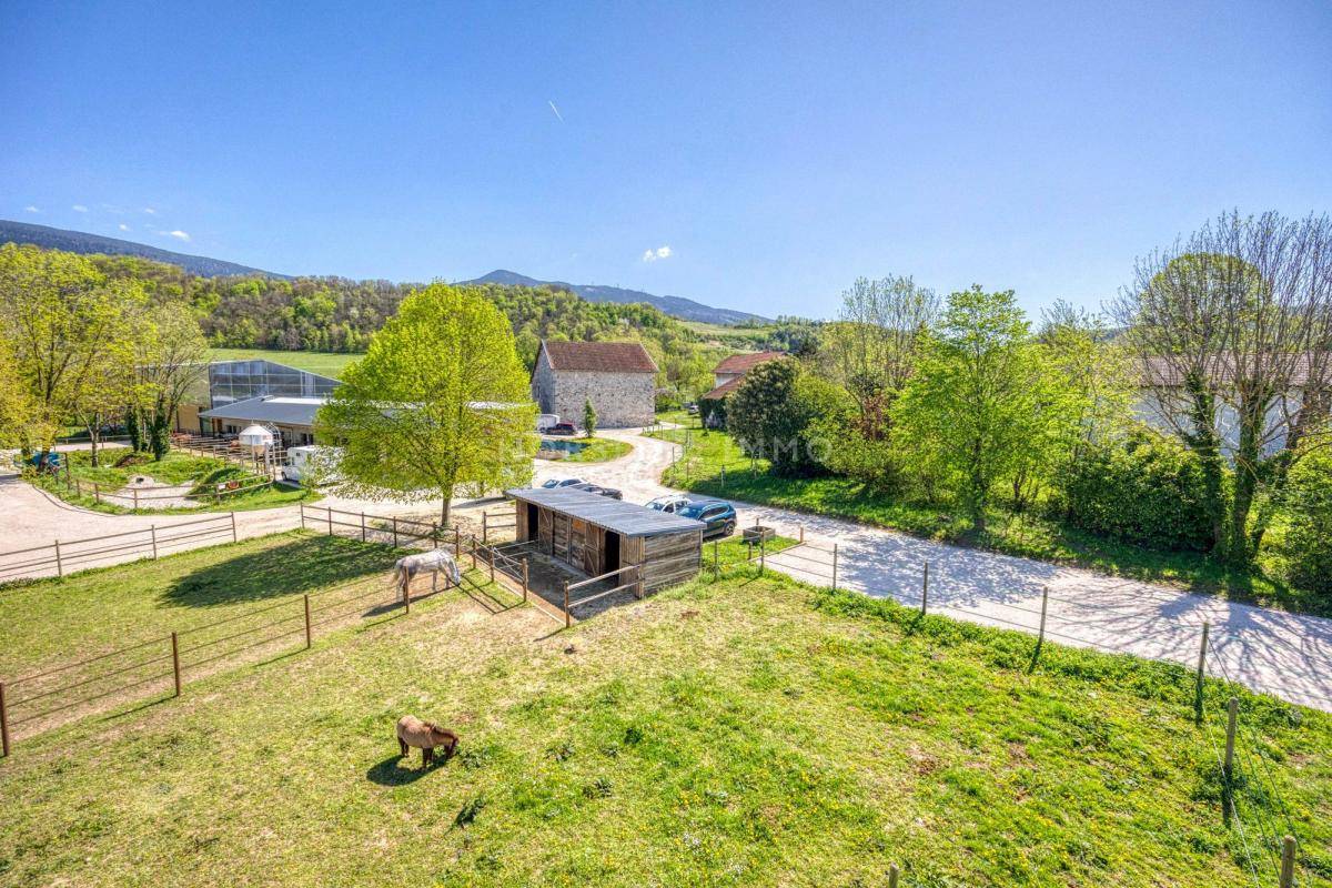 Stoeterij Koop Isère