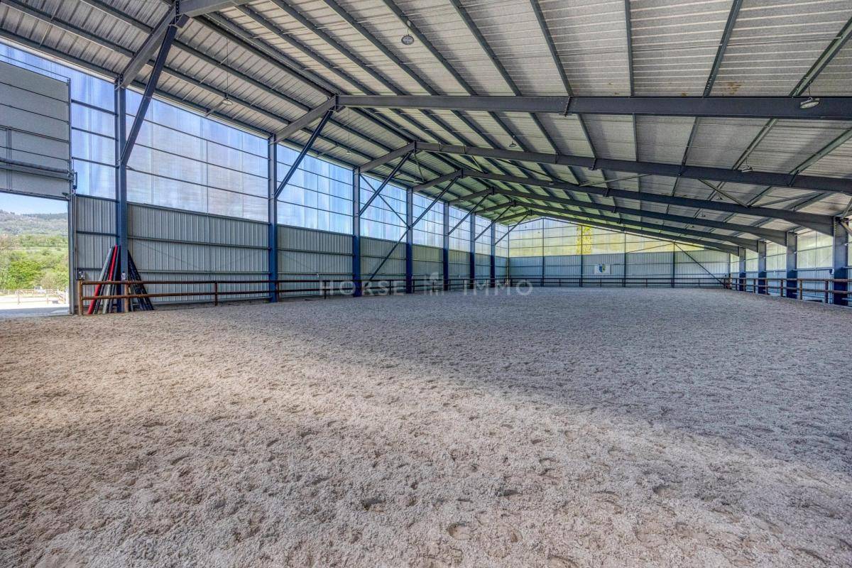 Stoeterij Koop Isère