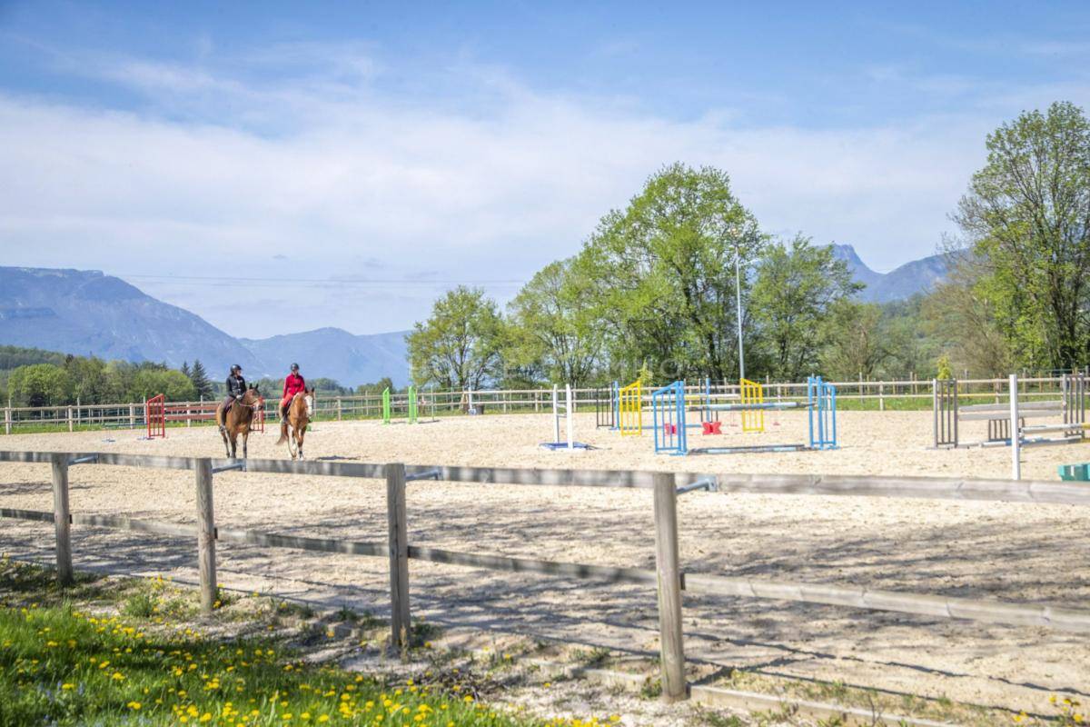 Stoeterij Koop Isère