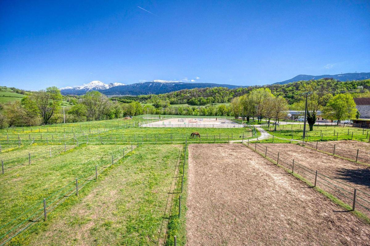 Stoeterij Koop Isère