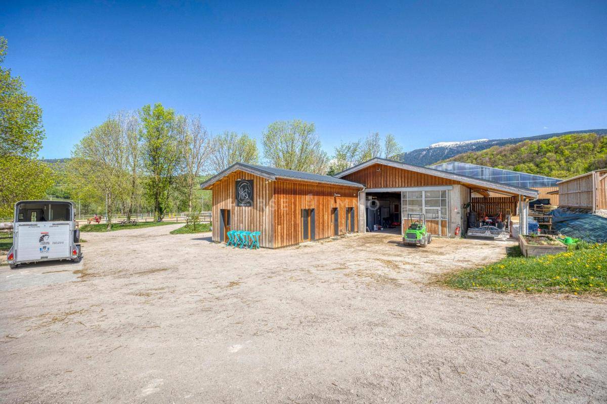 Stoeterij Koop Isère