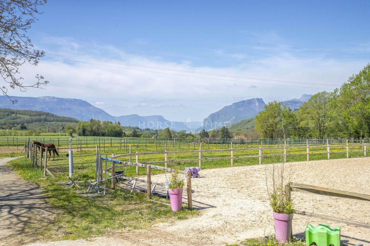 Stoeterij Koop Isère