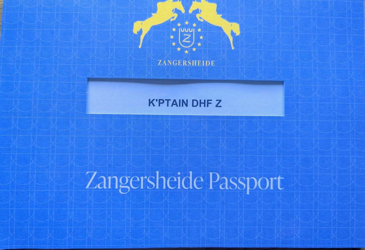 Hengst Zangersheide Te koop 2026 Vos ,  KASSANDER VAN 'T ROOSAKKER
