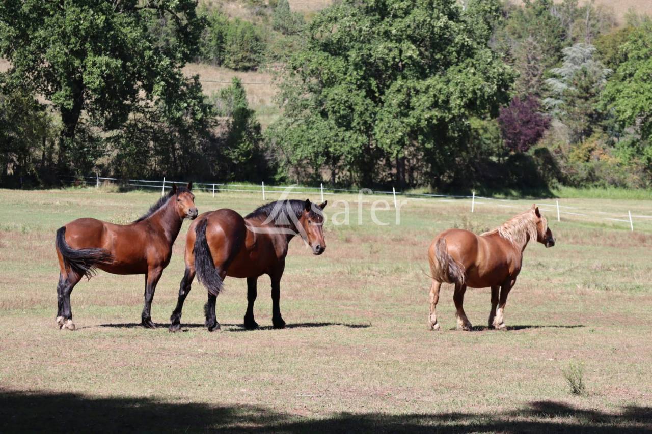 Ander plattelands vastgoed Koop Puy-de-Dôme