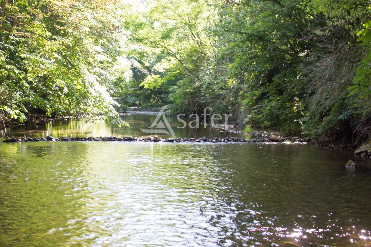 Ander plattelands vastgoed Koop Puy-de-Dôme