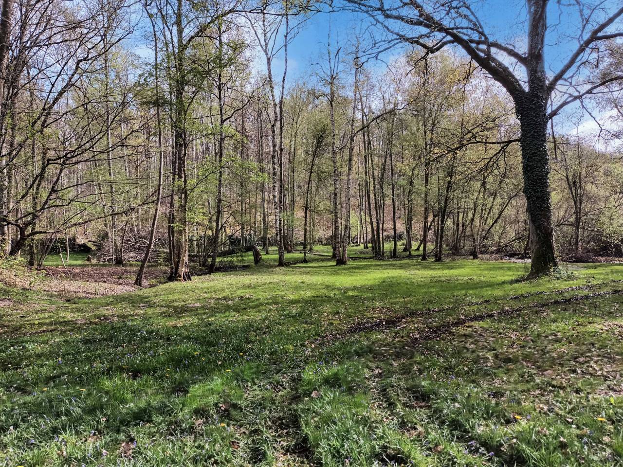 Mooi hippisch vastgoed Koop Yvelines