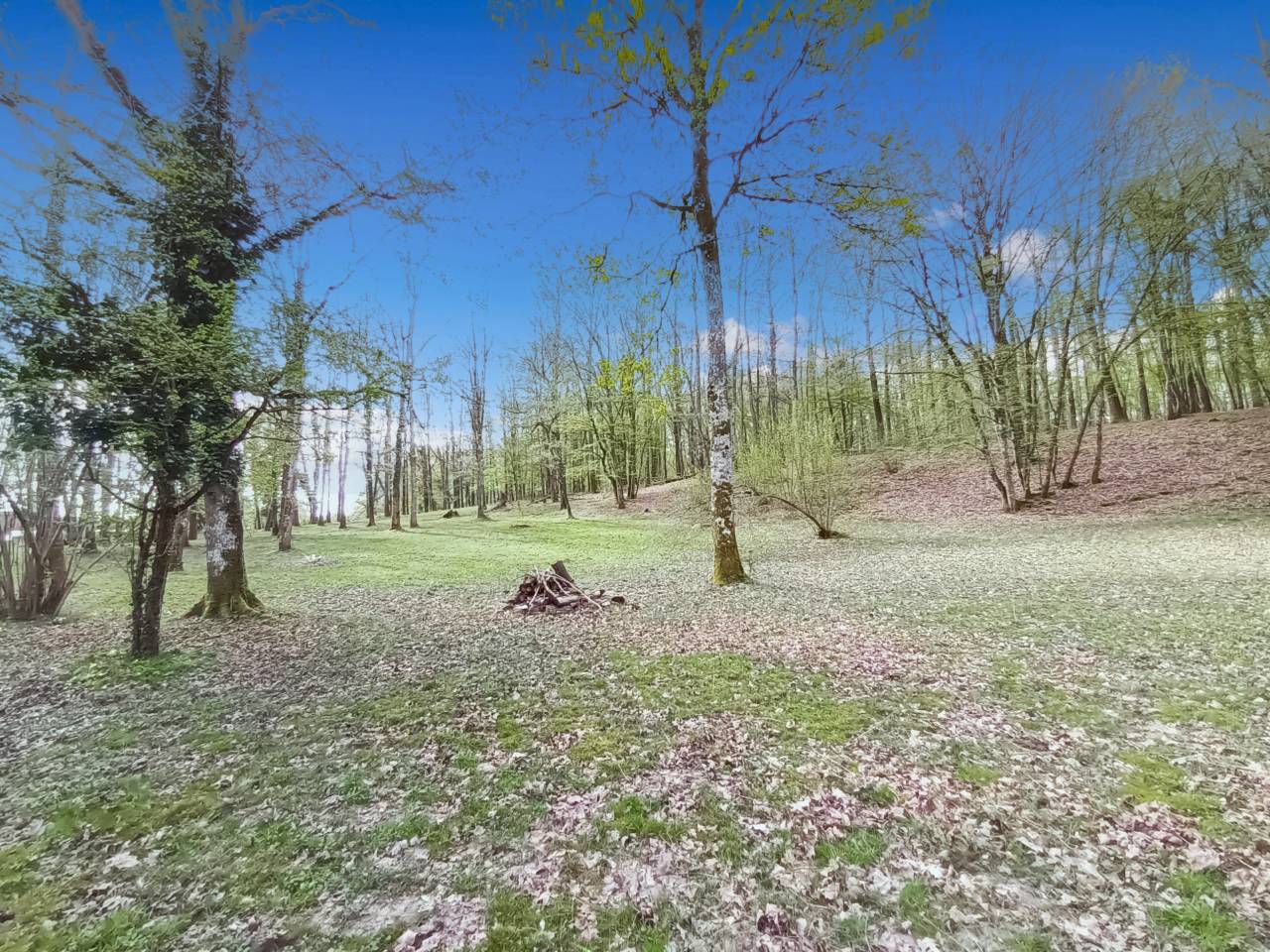 Mooi hippisch vastgoed Koop Yvelines