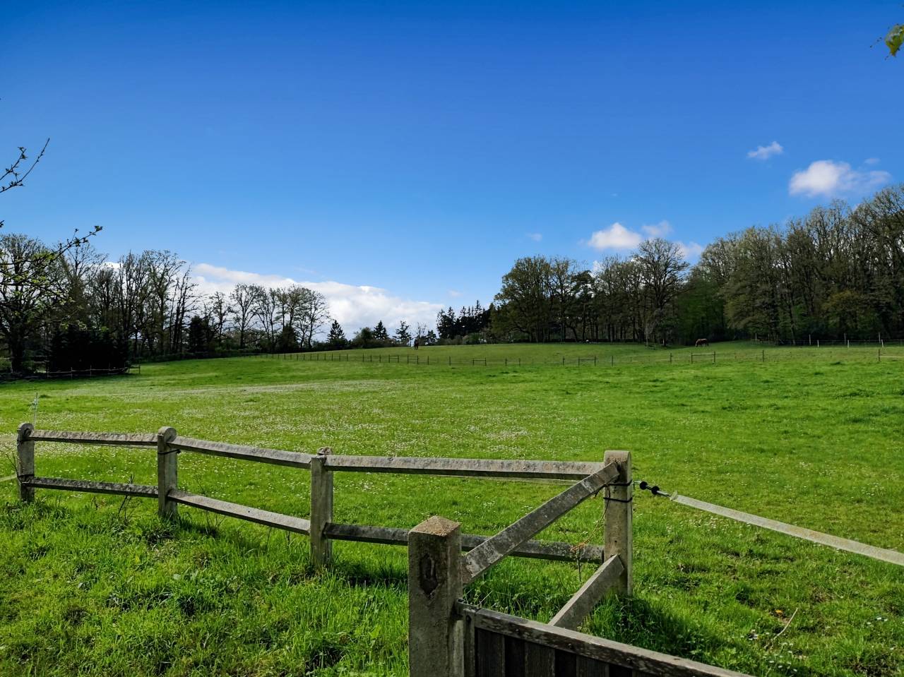 Mooi hippisch vastgoed Koop Yvelines