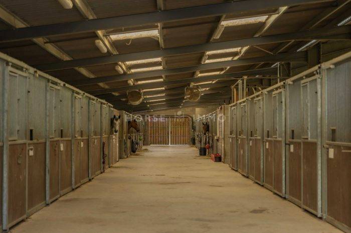 Hippisch vastgoed Koop Loire