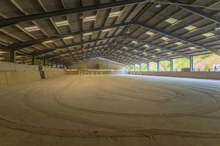 Hippisch vastgoed Koop Loire