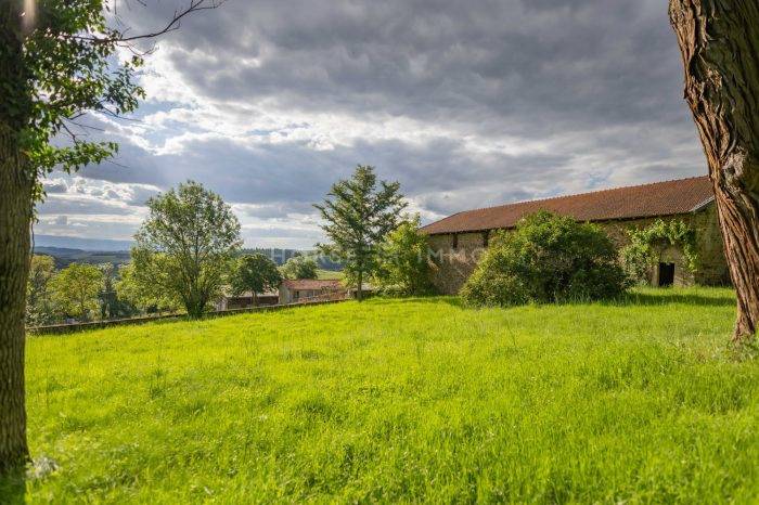 Hippisch vastgoed Koop Loire