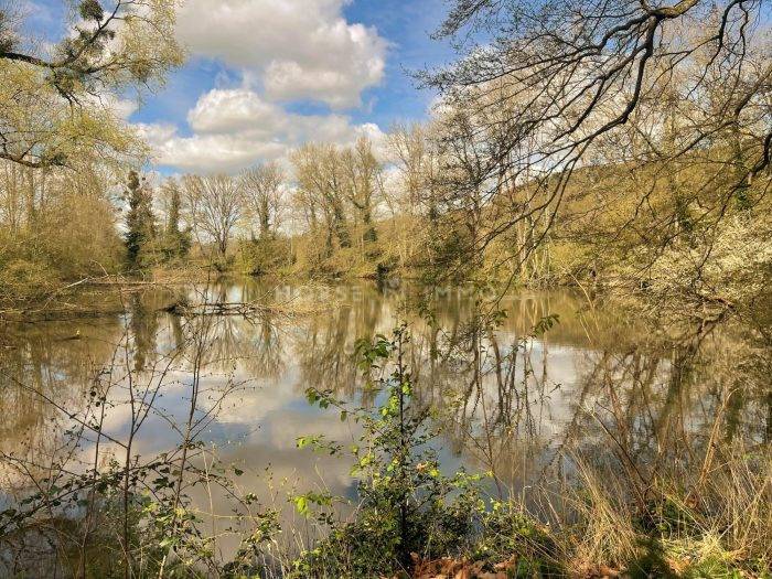 Hippisch vastgoed Koop Orne