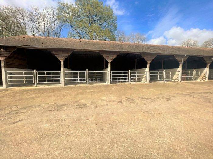 Hippisch vastgoed Koop Orne